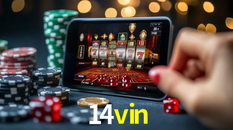 Premium Interface 14vin